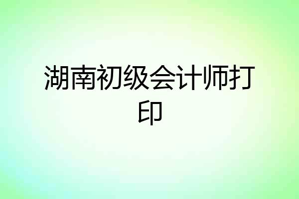 湖南初级会计师打印