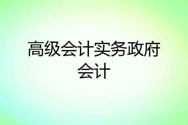 高级会计实务政府会计