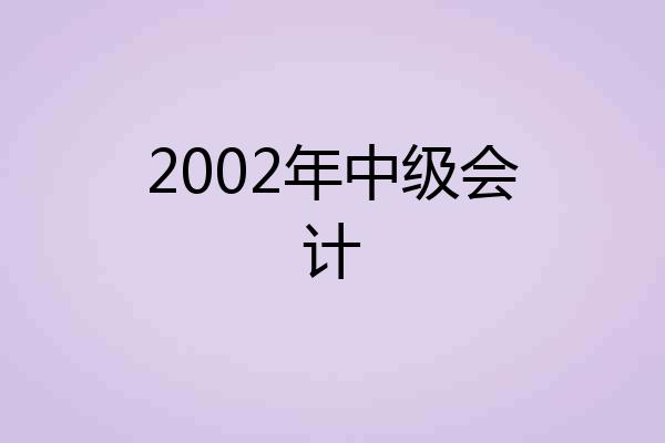 2002年中级会计