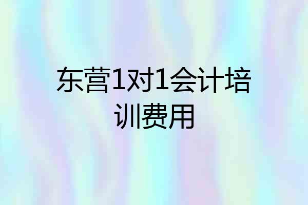东营1对1会计培训费用