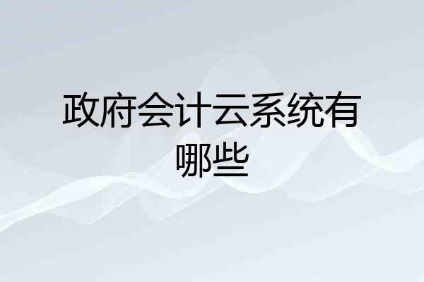 政府会计云系统有哪些