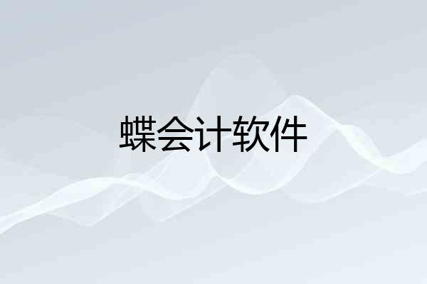 蝶会计软件