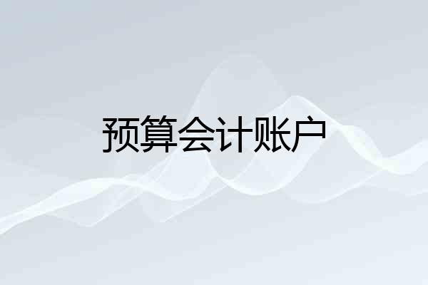 预算会计账户