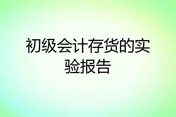 初级会计存货的实验报告