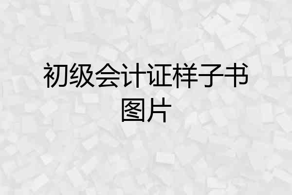 初级会计证样子书图片