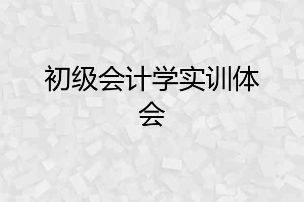 初级会计学实训体会