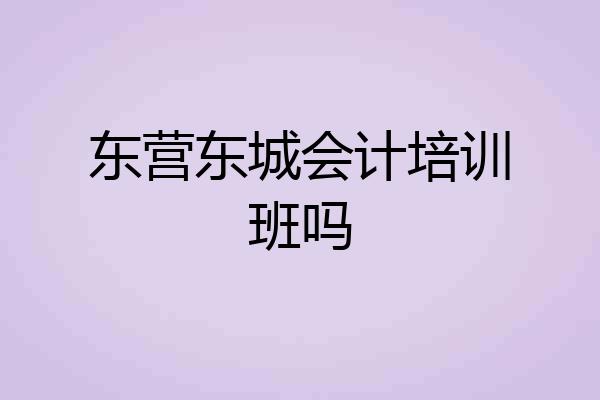 东营东城会计培训班吗