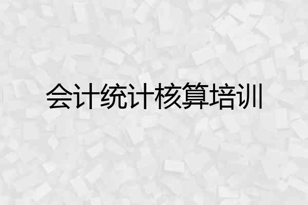 会计统计核算培训