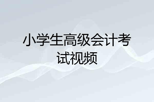 小学生高级会计考试视频