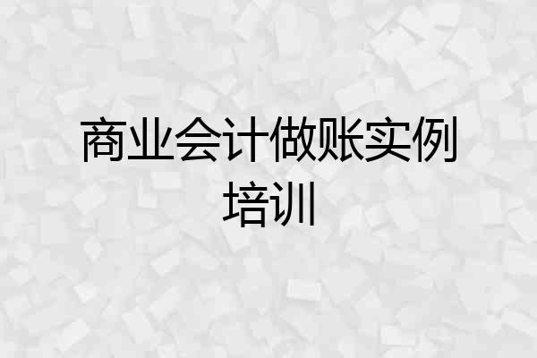 商业会计做账实例培训