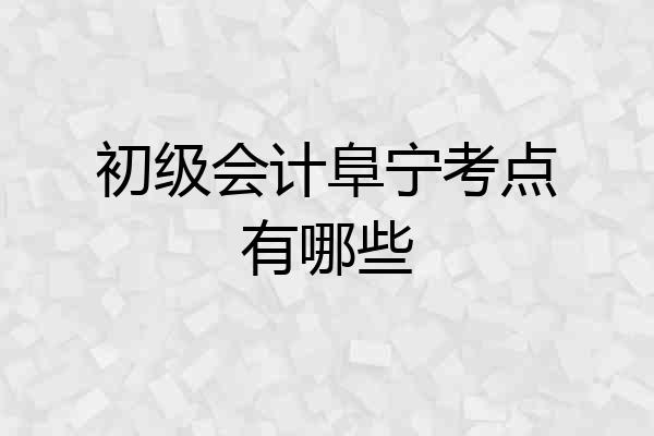 初级会计阜宁考点有哪些
