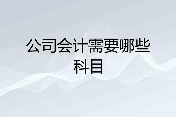 公司会计需要哪些科目