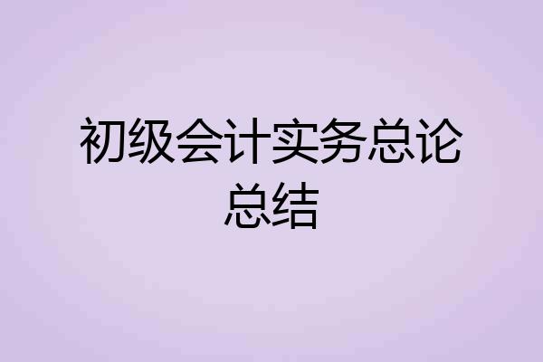 初级会计实务总论总结