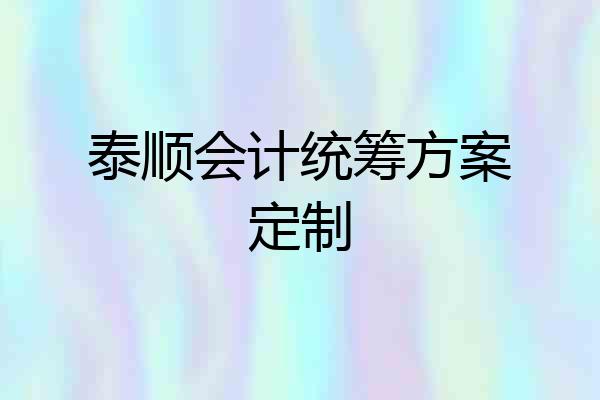 泰顺会计统筹方案定制