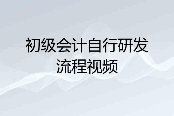 初级会计自行研发流程视频