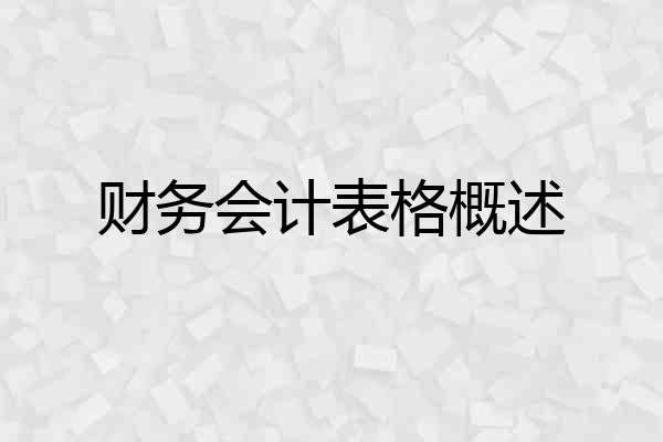 财务会计表格概述