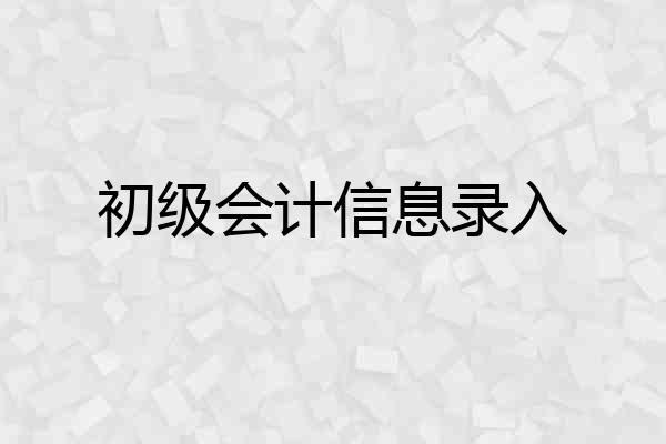 初级会计信息录入
