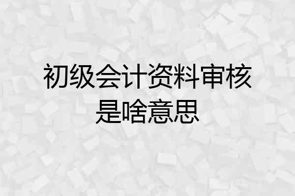 初级会计资料审核是啥意思