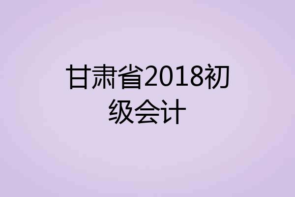 甘肃省2018初级会计