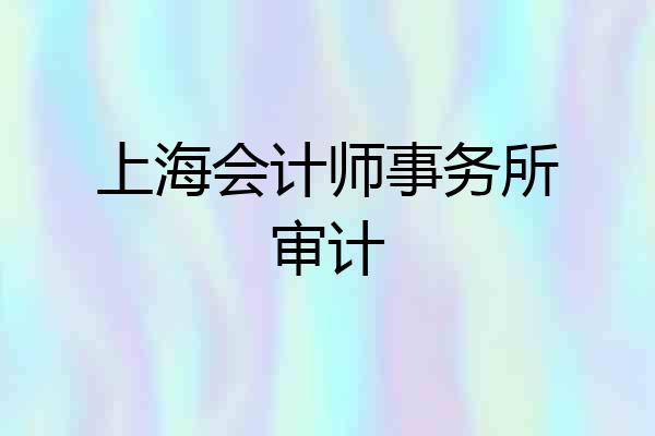 上海会计师事务所审计