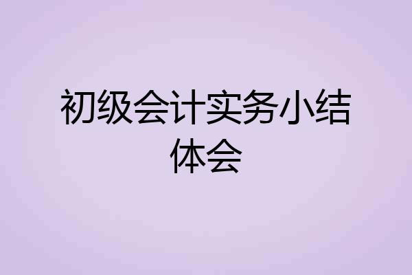 初级会计实务小结体会