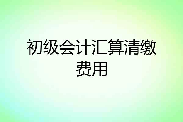 初级会计汇算清缴费用
