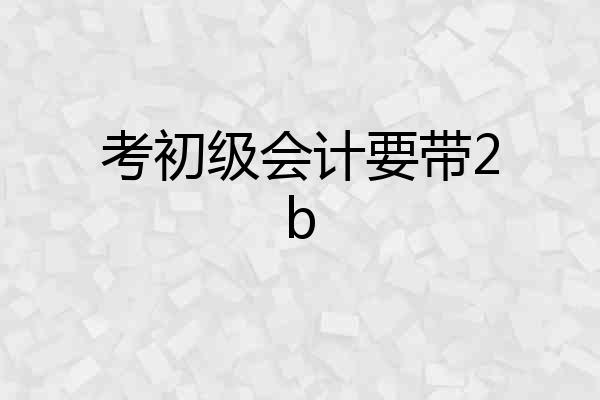 考初级会计要带2b