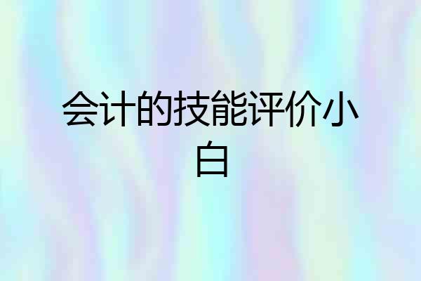 会计的技能评价小白