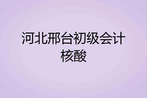 河北邢台初级会计核酸