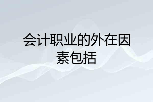 会计职业的外在因素包括