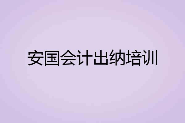 安国会计出纳培训