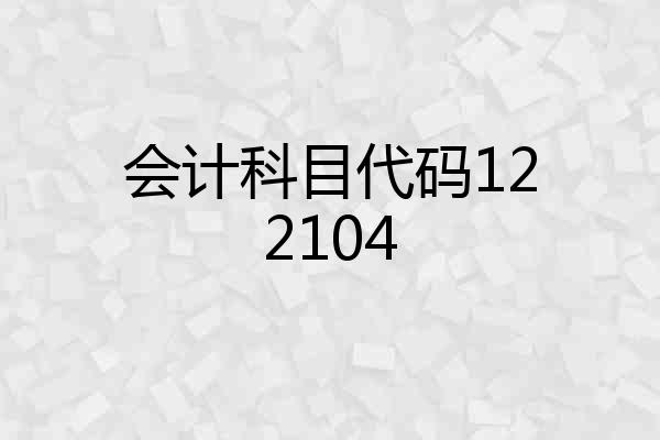 会计科目代码122104
