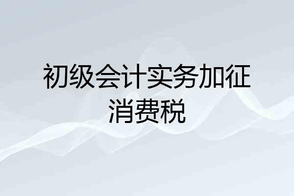 初级会计实务加征消费税
