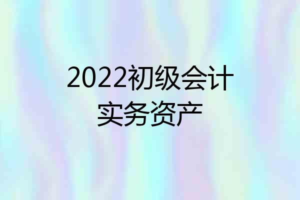 2022初级会计实务资产