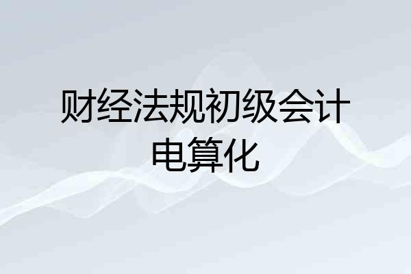财经法规初级会计电算化