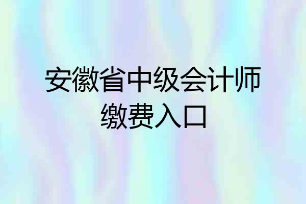 安徽省中级会计师缴费入口