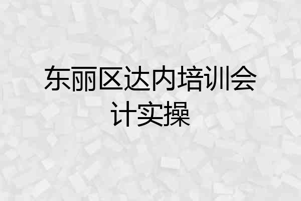 东丽区达内培训会计实操