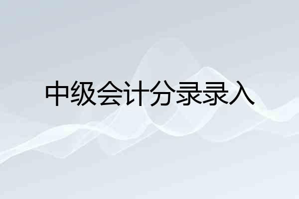 中级会计分录录入