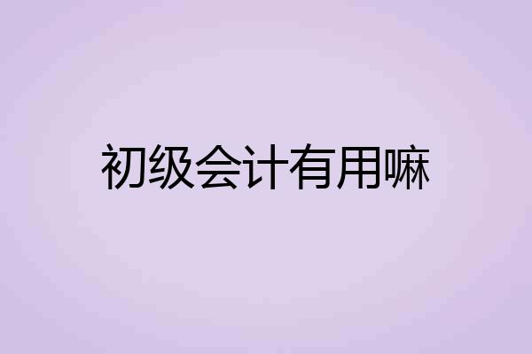 初级会计有用嘛