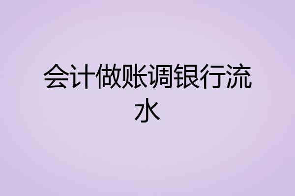 会计做账调银行流水