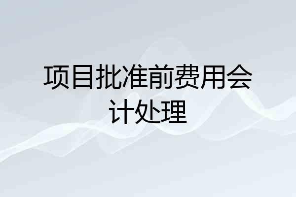 项目批准前费用会计处理