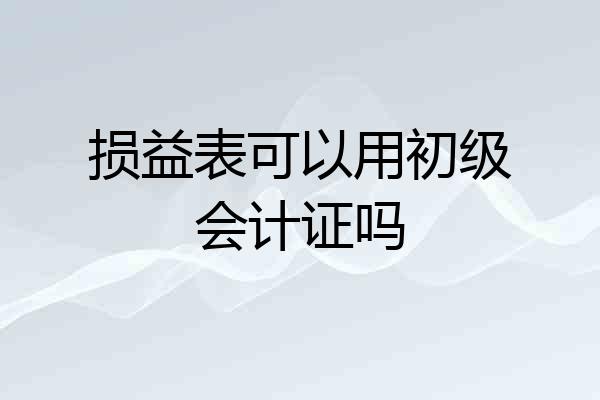 损益表可以用初级会计证吗