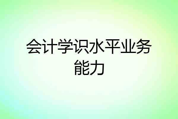 会计学识水平业务能力