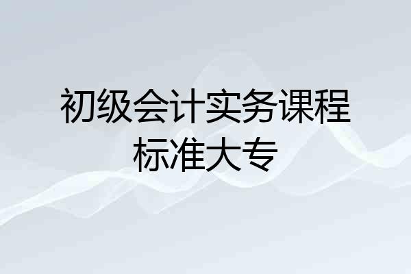 初级会计实务课程标准大专