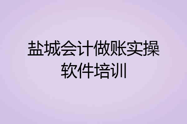 盐城会计做账实操软件培训