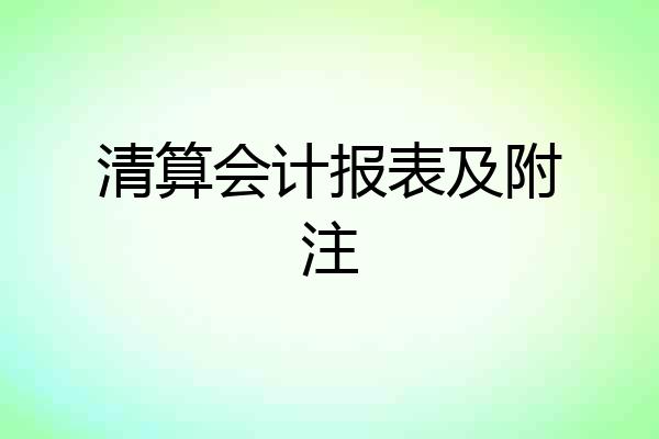 清算会计报表及附注
