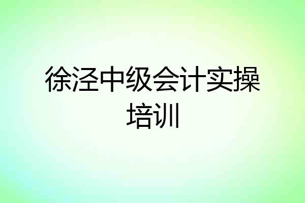徐泾中级会计实操培训