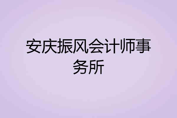 安庆振风会计师事务所