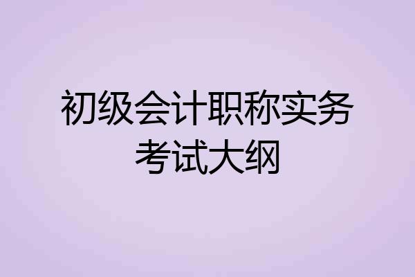 初级会计职称实务考试大纲