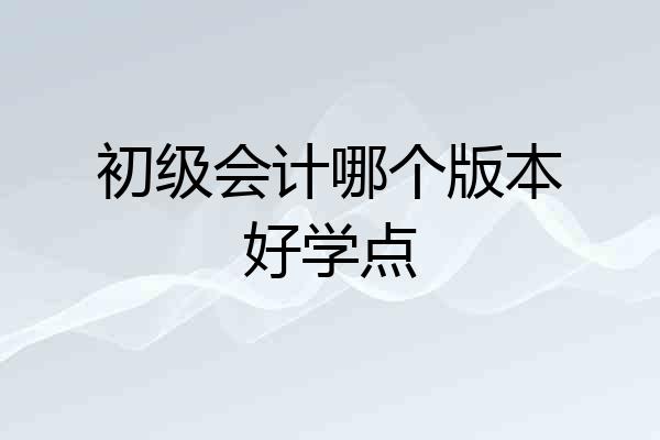 初级会计哪个版本好学点